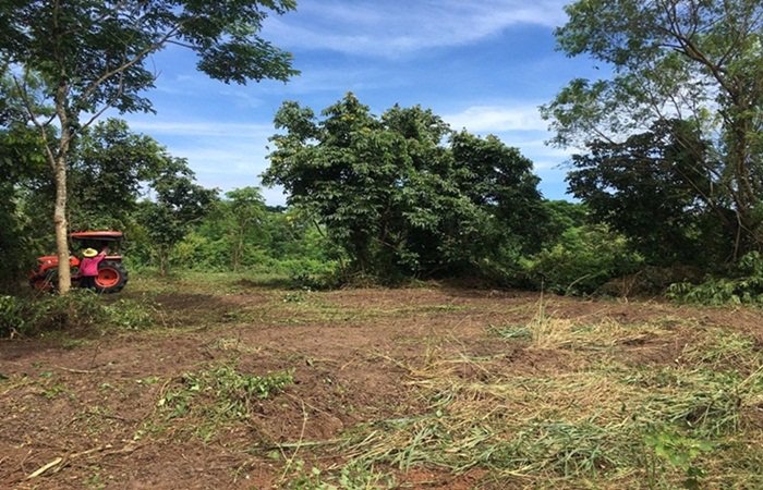 ขายที่ดิน-2-ไร่-แปลงสวย-ติดถนน-อำเภอเมือง-หนองคาย