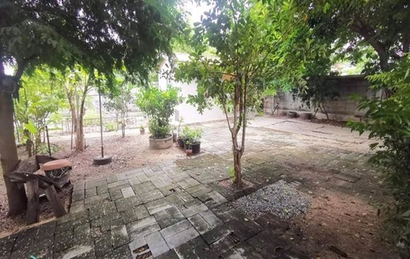 ขายที่ดิน-85-ตรว-ซอยบุญคุ้ม2-มะลิทอง-ซอยข้างสนามธูปเตมีย์-ลำลูกกา-จปทุมธานี