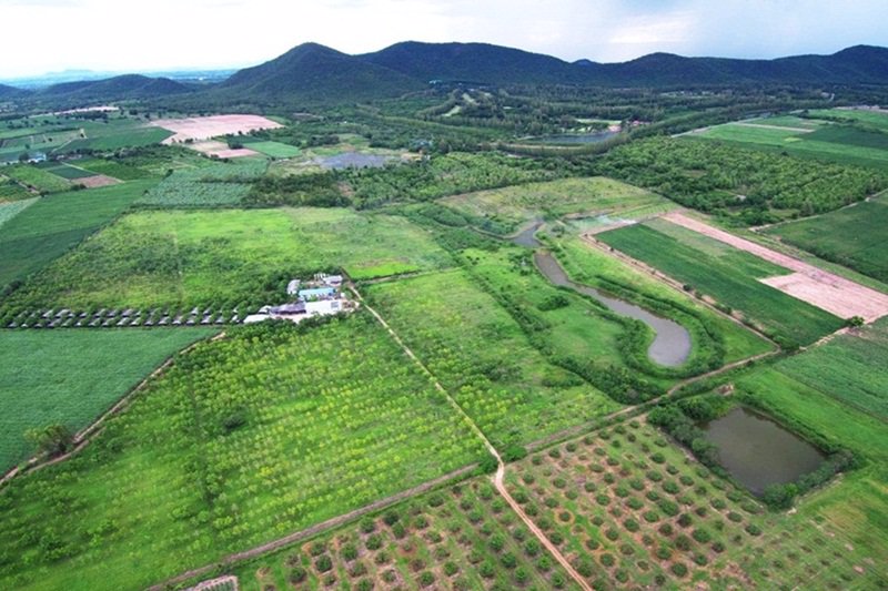 ขายที่ดิน-175-ไร่-พร้อมโรงงานแปรรูป-บ้านพัก-และสวนผักผลไม้-สามารถดำเนินธุรกิจต่อได้ทันที-อท่าม่วง-จ