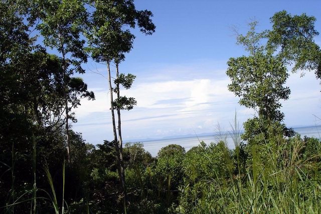 ขาย-ให้เช่าที่ดินติดทะเล-ติดถนนสุขุมวิท-อำเภอ-คลองใหญ่-ตราด-14ไร่