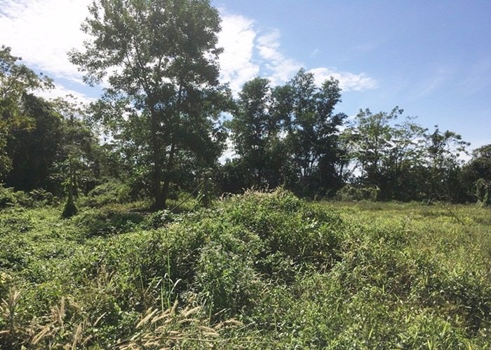 ขาย-ให้เช่า-ที่ดิน-23-ไร่-ติดถสุขุมวิท-ตำบล-ชำราก-อำเภอเมืองตราด