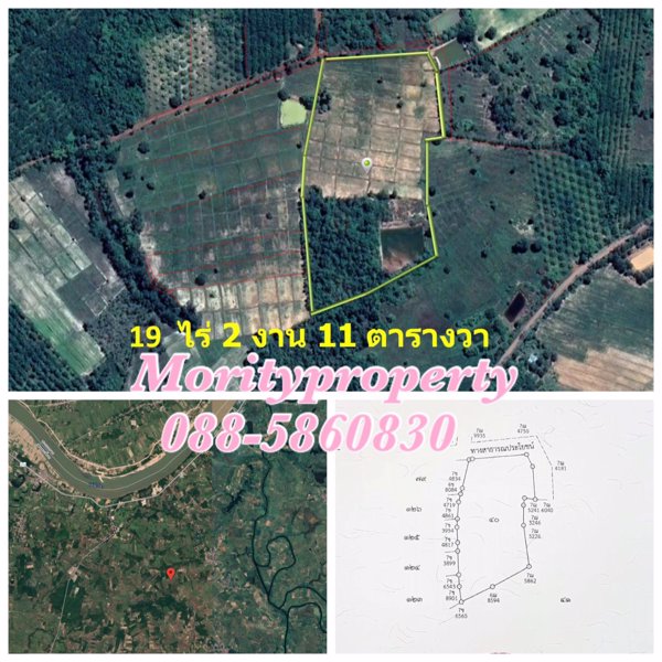 ขายที่ดิน-ตวัดหลวง-อโพนพิสัย-จหนองคาย