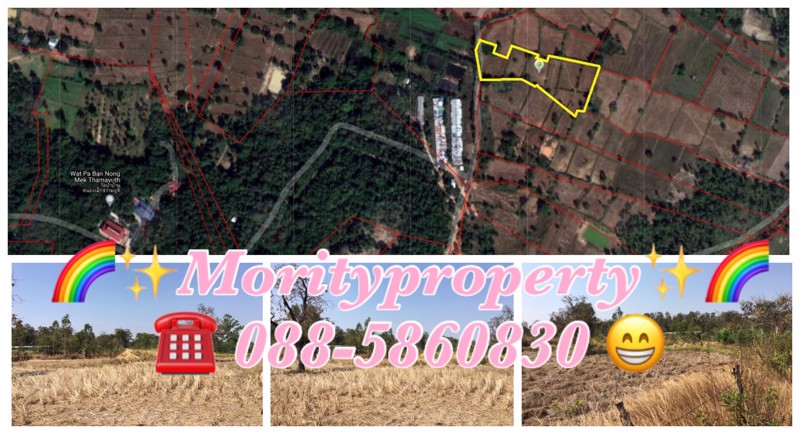 ขายที่ดิน-ตหนองช้างใหญ่-อม่วงสามสิบ-จอุบลราชธานี