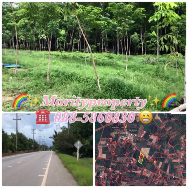 ขายที่ดิน-ตแกลง-อเมืองระยอง-จระยอง-ใกล้หาดสวนสน