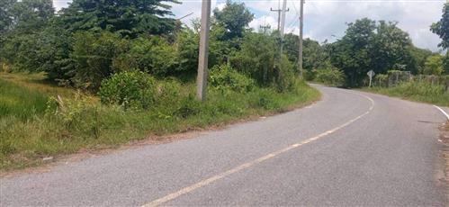 ที่ดิน-ที่นา-1-ไร่-ติดถนนลาดยาง-ขายราคาถูก-ไกล้ทางหลวง
