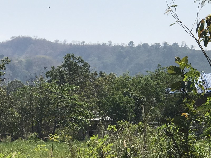 สวนผลไม้-โฉนด-วิวเขา-ติดถนนคอนกรีต-ไกล้ย่าน-อ่างเก็บน้ำห้วยปรือ