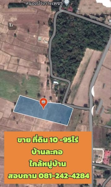 ขายที่ดินอำเภอจักราชบ้านละกอตศรีละกอ-จนครราชสีมา