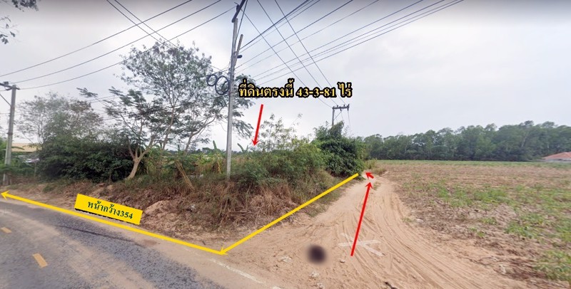 ขายที่ดินเปล่าทำเลทอง-43-3-81-ไร่-โซนพัทยา-ใกล้อุทยานสามก๊กและสนามกอล์ฟสยามคันทรีคลับ-อบางละมุง-จช