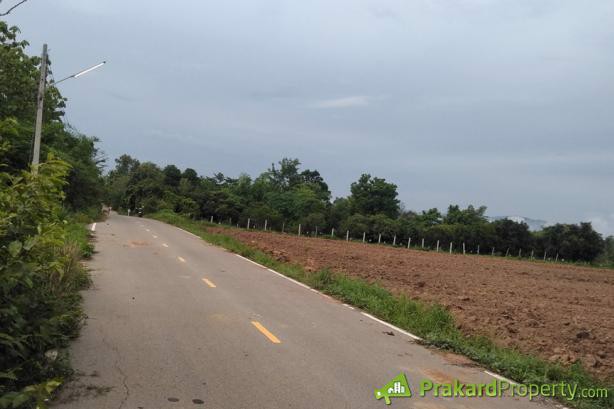 ขายที่ดินปลูกบ้านหรือทำการเกษตร-ใกล้คลองชลประทาน-ด้านหน้าติดถนนลาดยาง-จลำปาง-