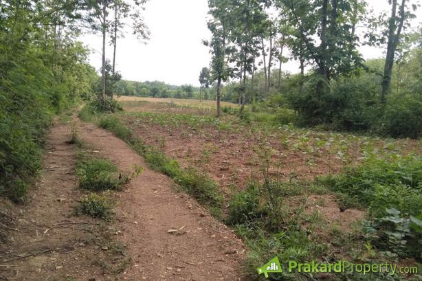 ขายที่ดินปลูกบ้านหรือทำการเกษตรทำเลสวย-อยู่ในเขตชุมชน-น้ำไฟสะดวก-จลำปาง-