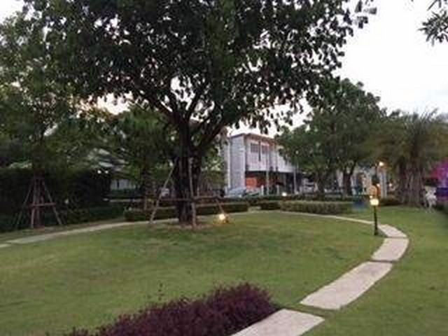 ให้เช่า-ทาวน์เฮ้าส์-2-ชั้น-ใหม่เอี่ยม-มgolden-town-วงศ์สว่าง-แคราย-14000