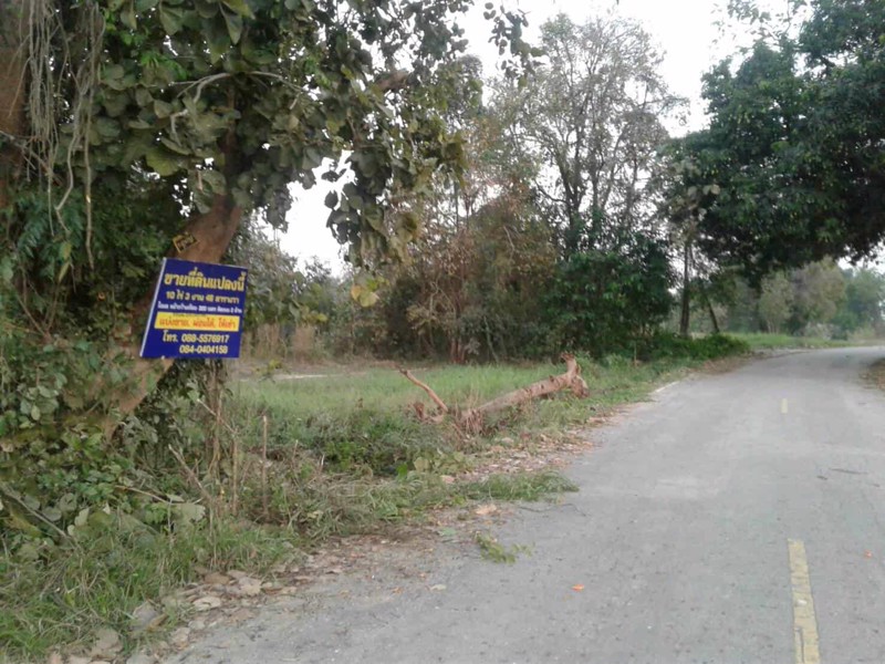 ขายที่ดิน-10ไร่-3งาน-48-ตรว