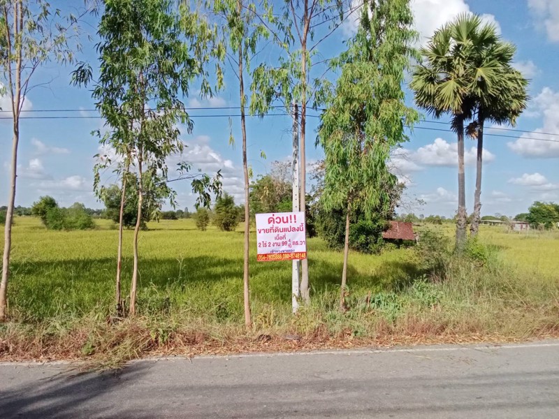 ด่วน-ขายที่ดินสวยเหมาะทำโคกหนองนา-อเมือง-จร้อยเอ็ด