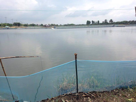 ขายที่ดิน-62-ไร่-37-ตรว-พร้อมสิ่งปลูกสร้าง-ไร่ละ-9-แสนบาท