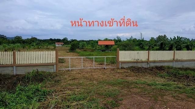 ขายที่ดิน8ไร่อำเภอเมืองจังหวัดนครนายก-โฉนด-นส4จ-ขายราคาต้นทุน