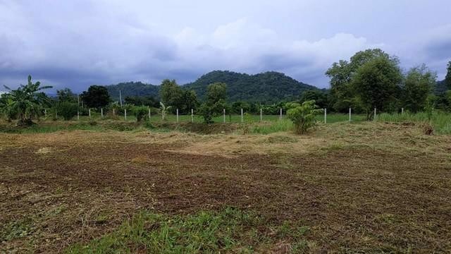 ขายที่ดิน8ไร่อำเภอเมืองจังหวัดนครนายก-โฉนด-นส4จ-ใกล้ศูนย์การเรียนรู้ภูกะเหรี่ยง