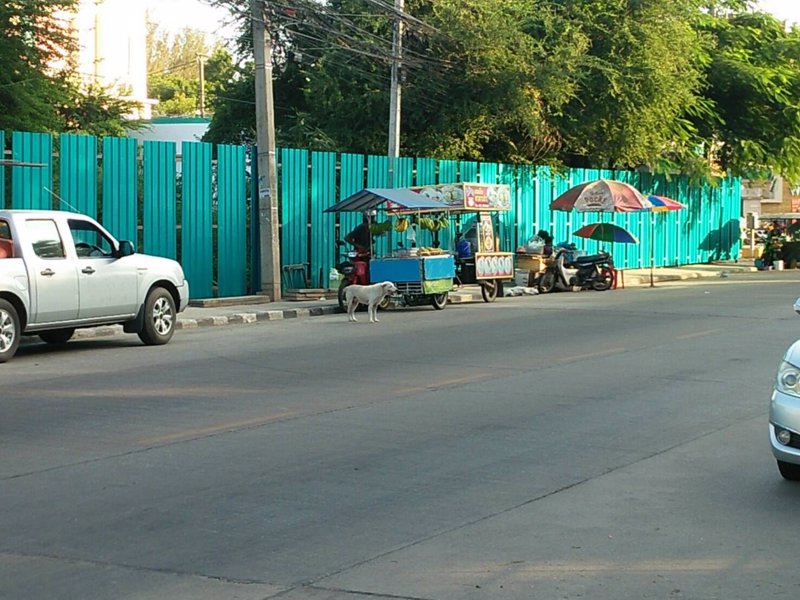 ขายที่ดิน-4-ไร่-ติดถนนรอบบึง-ตรงข้ามบึงแก่นนคร-ใกล้วัดศรีธาตุ-ตในเมือง-อเมือง-จขอนแก่น-