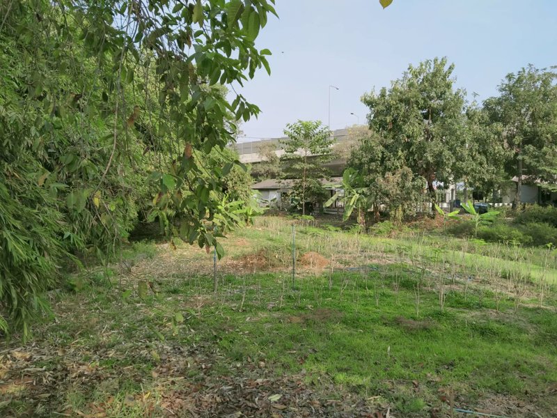 ขายที่ดิน-6-2-70ไร่-ติดถนนราชพฤกษ์-ใกล้ถนนสะพานนนทบุรี-บางบัวทอง-และ-โรงพยาบาลปากเกร็ด2