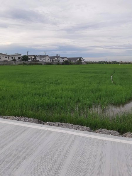 ขายที่ดิน-600-ตรว-ซอยบางนาการ์เด้น-ถนนบางนา-ตราด-กม26-อบางเสาธง-จ-สมุทรปราการ-ใกล้-abac-bangna