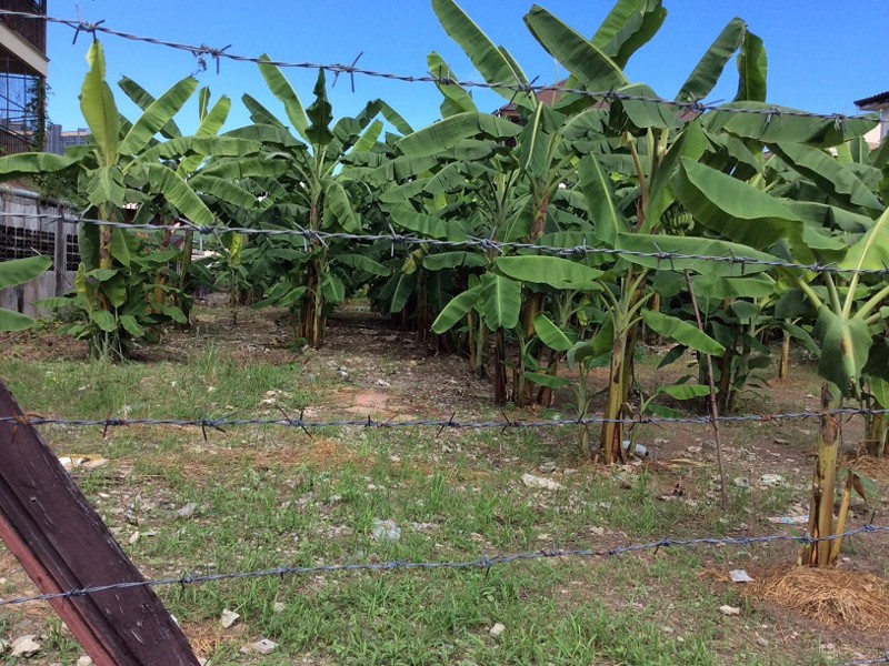 ขายที่ดิน 302 ตรว. ซอยประชาอุทิศ (ซอยนนทบุรี 8 ) ถนนรัตนาธิเบศร์ ใกล้ MRTสถานีแยกนนทบุรี1