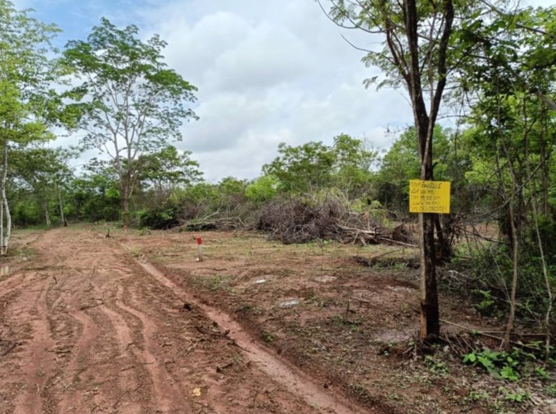 ขายที่ดิน100ตรว-ราคา99000บาท-ผ่อนวัน100บาท-