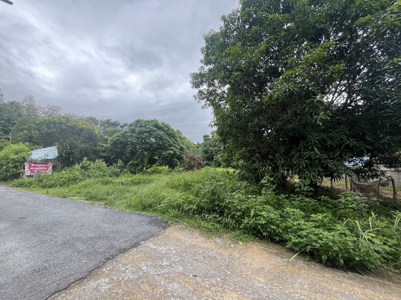 ขายที่ดินเปล่า-เนื้อที่-200-ตารางวา