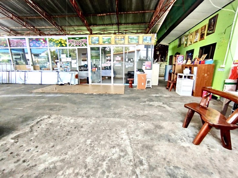 ขายด่วนมาก-ที่ดิน-พร้อมสิ่งปลูกสร้าง-ราคานี้ไม่มีแล้ว-ติดถนนใหญ่