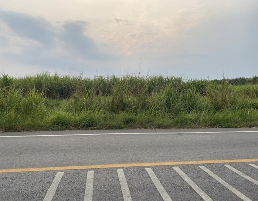 ขายที่ดิน-เนื้อที่-29-ไร่-เกาะจันทร์-จังหวัดชลบุรี