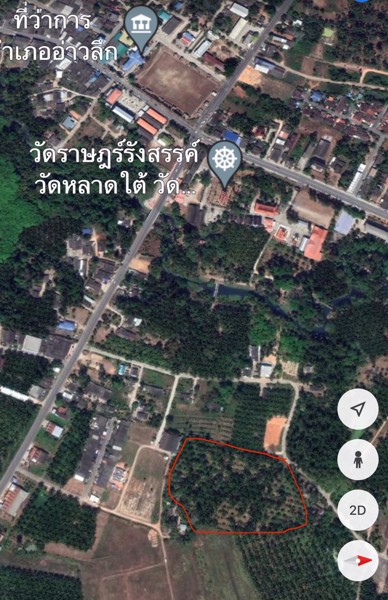 ที่ดินสวนปาล์ม-13-ไร่-1-งาน-92-วา