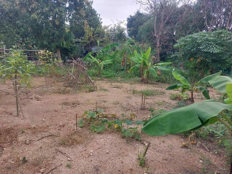 ขายที่ดิน-เนื้อที่195-ตรว-หลังโลตัสตะเคียนเตี้ย-ชุมชนหนองปรือทางรถไฟ