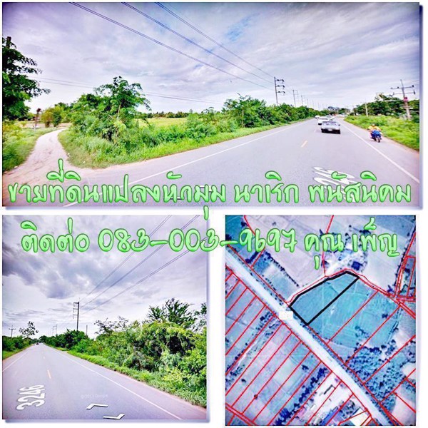 ขายที่ดินแปลงหัวมุม-หน้ากว้างติดถนนทางหลวงพนัส-เกาะโพธิ์-พนัสนิคม-ชลบุรี