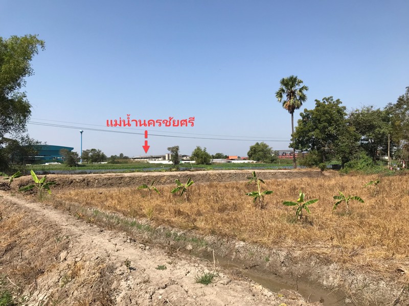 ขายที่ดิน-3ไร่-ติดแม่น้ำนครชัยศรี