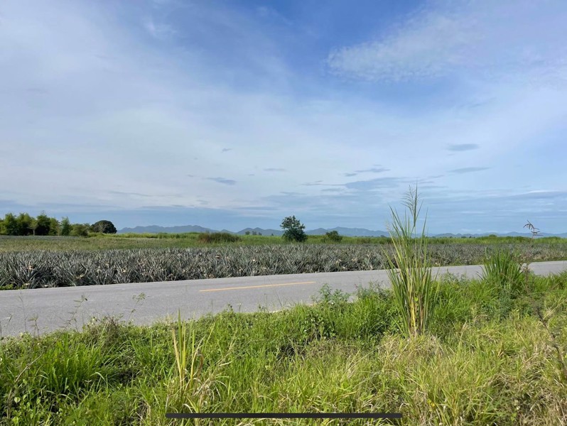 📍ขายที่ดิน-หัวหิน-แปลงสวย-ทำเลดี-ใกล้ถนนบายพาส-ชายหาดหัวหิน