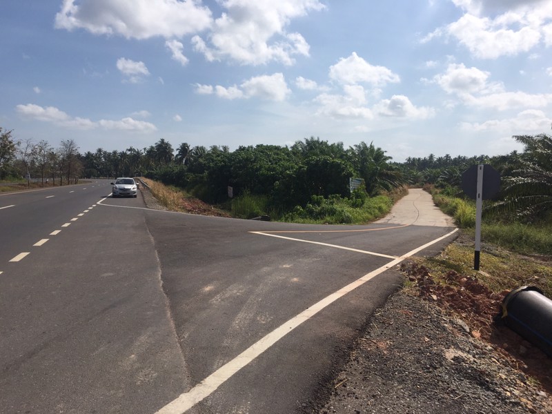 ขายที่ดิน-สวนมะพร้าว-ใกล้ถนน4เลน-บางไทร-เมือง-สุราษฎร์ธานี