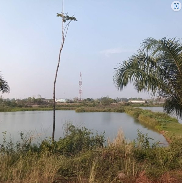 ขายที่ดิน-หลังร้านอาหารริมบึงโง้ง-2ไร่