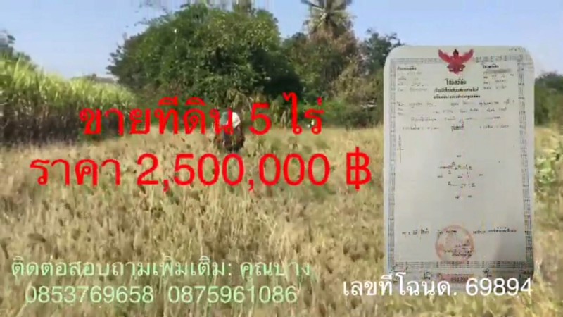 ขายที่ดิน-5-ไร่-ราคาไร่ละ-500000-บาท-ห้วยหมอนทอง-กำแพงแสน-นครปฐม