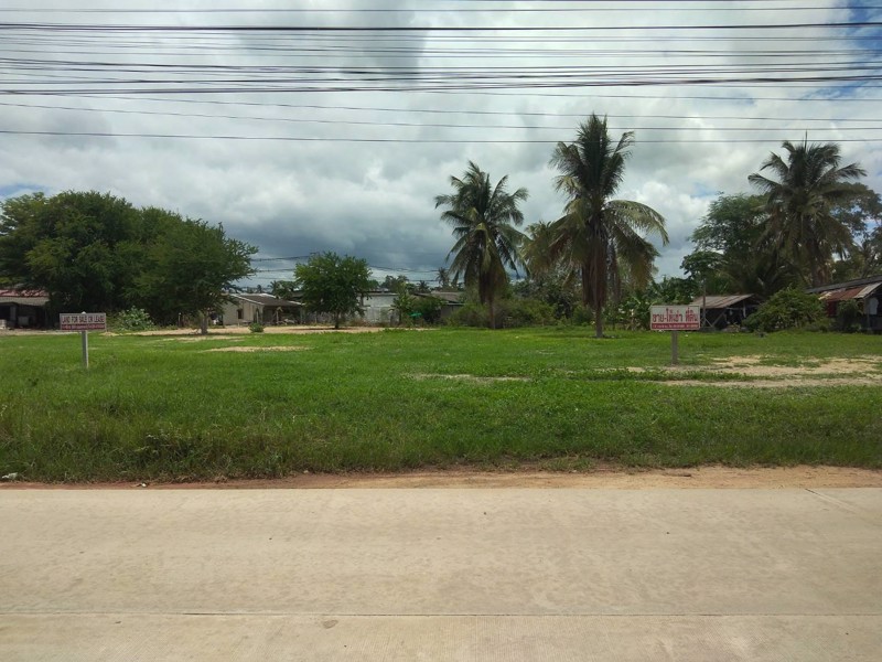 ขาย-ให้เช่า-ที่ดินโฉนด-land-for-sale-or-lease-ปthailand