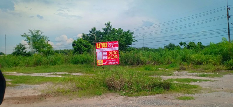 ขายที่ดิน-8ไร่-3งาน-21ตรว