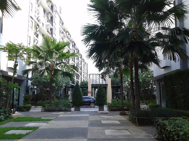 ให้เช่า-ไอคอนโด-สุขุมวิท-105-1-ห้องนอน-1-ห้องน้ำ-ห้องชั้น-4-6500-บ-ด