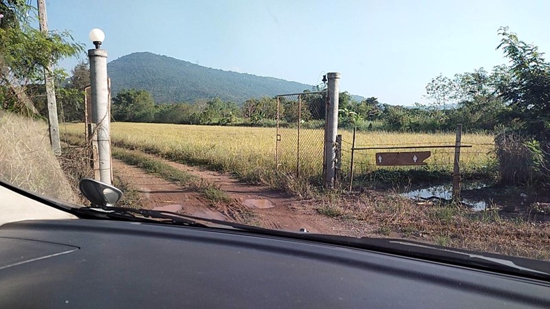 ขายที่ดิน-ราคาไม่แพง-ไร่ละ-75-แสน-โฉนดครุฑแดง