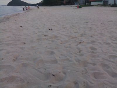 land-area-1205-sqwah-or-about-4820-sqm-no-sea-view-very-greenery-and-peacefully-chumphon