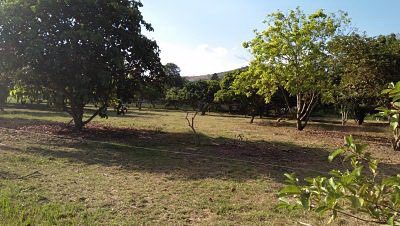 ถ้าคุณกำลังมองหาที่ดินทำเลดีๆสักแปลง-บนเนื้อที่ดิน-6945-ตรว-สวนติดลำธารล้อมรอบที่ดิน-ปากช่อง-โฉนด