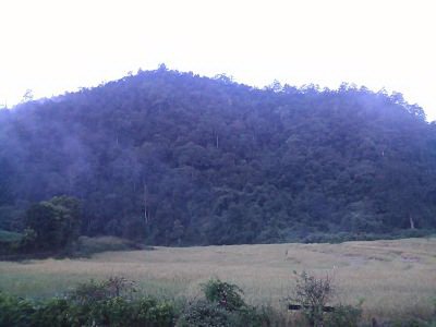 lease-land-on-the-top-mountain-view-called-doi-with-wooden-house-home-stay-can-go-pai-samuang-rou