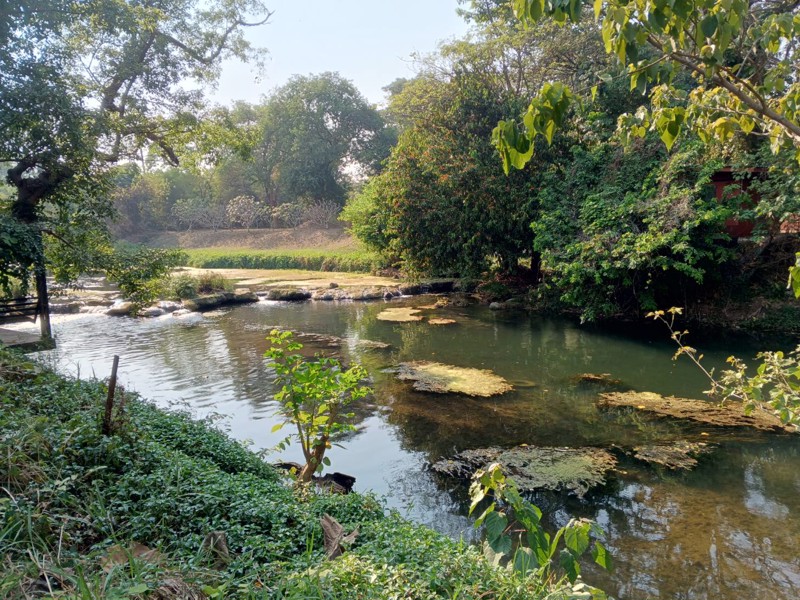 ขายที่ดิน-ทำเลหัวมังกรทองท้องเก็บทรัพย์หางนำโชค