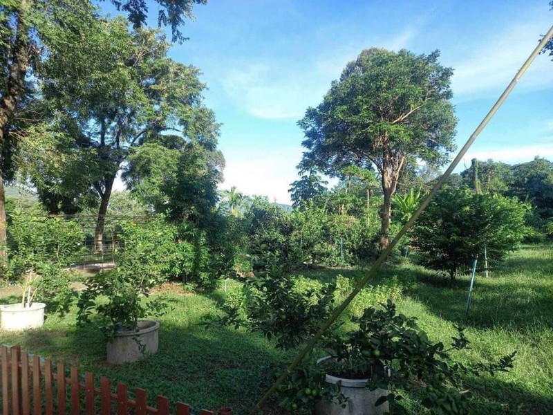 ขายที่ดิน-โครงการศุภาลัย-ป่าสัก-มีสายน้ำทอดยาวสุดตา-มีทิวเทือกผา-ท้าทาย-แดดลม