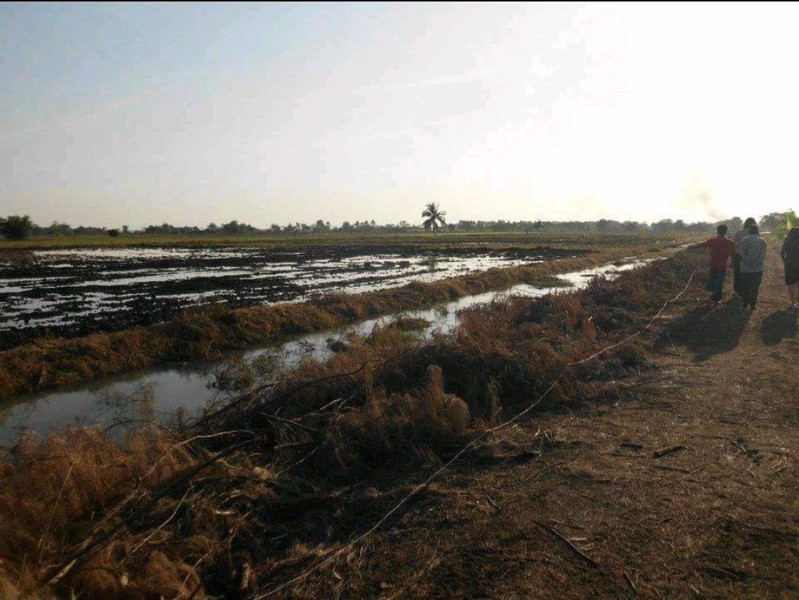 ขายที่ดิน-เนื้อที่-22-ไร่-54ตารางวา-ตำบลสายห้วยแก้ว-อำเภอบ้านหมี่-จังหวัดลพบุรี