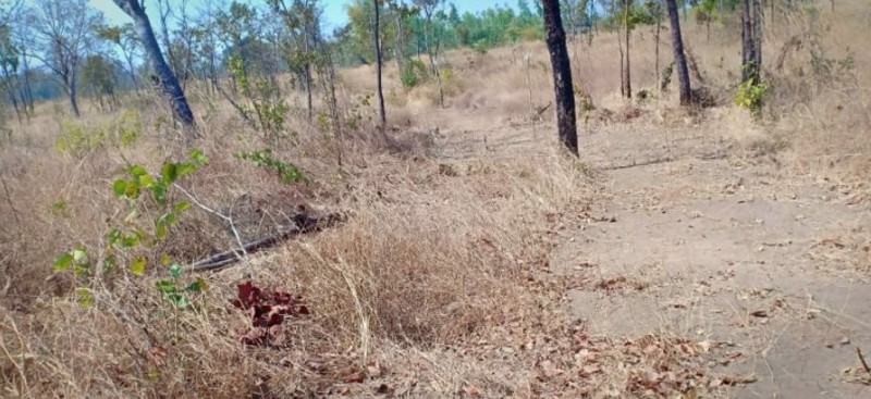 ขายที่ดิน-2-ไร่-ราคา-290000-บาท