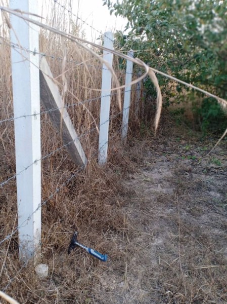 ขายที่ดิน-50-ตรวราคา-99000บาท-ผ่อนวัน100บาท-