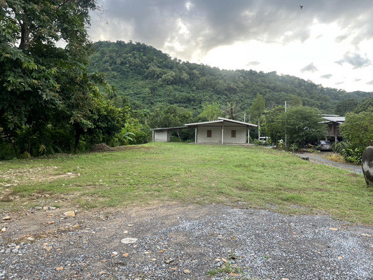 ขายบ้านพร้อมที่ดิน-200-ตารางวา-ตำบลเขาพระ-มีโฉนด-ติดถนนหลัก-เหมาะทำพูลวิลล่า