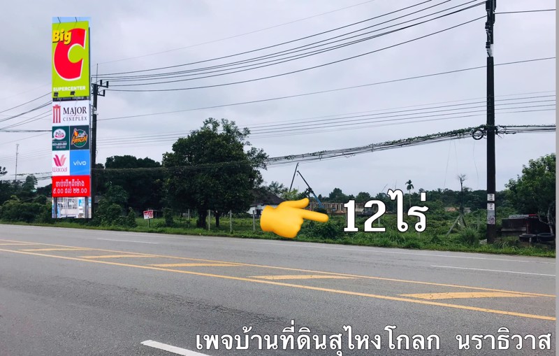 ขายที่ดินเนื้อที่-12-ไร่-ราคาไร่ละ-6ล้านบาท